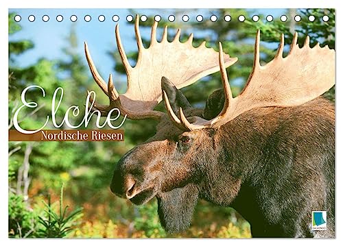 Elche: Nordische Riesen (Tischkalender 2024 DIN A5 quer), CALVENDO Monatskalender von CALVENDO
