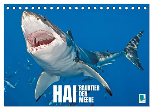Hai: Raubtier der Meere (Tischkalender 2024 DIN A5 quer), CALVENDO Monatskalender von CALVENDO
