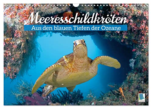 Meeresschildkröten: Aus den blauen Tiefen der Ozeane (Wandkalender 2024 DIN A3 quer), CALVENDO Monatskalender