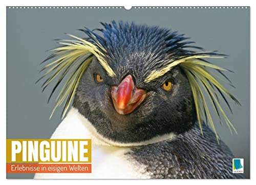 Pinguine: Erlebnisse in eisigen Welten (Wandkalender 2024 DIN A2 quer), CALVENDO Monatskalender
