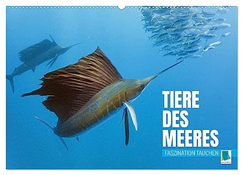 Tiere des Meeres: Faszination Tauchen (Wandkalender 2024 DIN A2 quer), CALVENDO Monatskalender