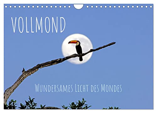 Vollmond: Wundersames Licht des Mondes (Wandkalender 2024 DIN A4 quer), CALVENDO Monatskalender