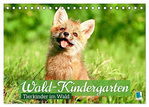 Wald-Kindergarten: Tierkinder im Wald (Tischkalender 2024 DIN A5 quer), CALVENDO Monatskalender von CALVENDO