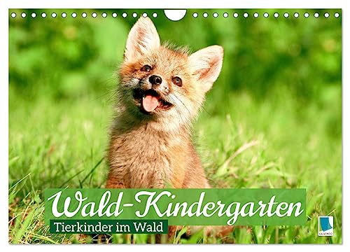 Wald-Kindergarten: Tierkinder im Wald (Wandkalender 2024 DIN A4 quer), CALVENDO Monatskalender von CALVENDO