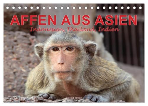 AFFEN AUS ASIEN Indonesien, Thailand, Indien (Tischkalender 2025 DIN A5 quer), CALVENDO Monatskalender von CALVENDO
