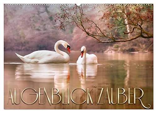AUGENBLICK ZAUBER (Wandkalender 2025 DIN A2 quer), CALVENDO Monatskalender von CALVENDO