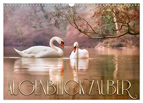 AUGENBLICK ZAUBER (Wandkalender 2025 DIN A3 quer), CALVENDO Monatskalender von CALVENDO