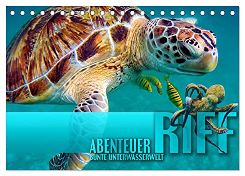 Abenteuer Riff - bunte Unterwasserwelt (Tischkalender 2025 DIN A5 quer), CALVENDO Monatskalender von CALVENDO