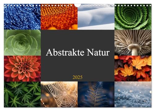 Abstrakte Natur (Wandkalender 2025 DIN A3 quer), CALVENDO Monatskalender von CALVENDO