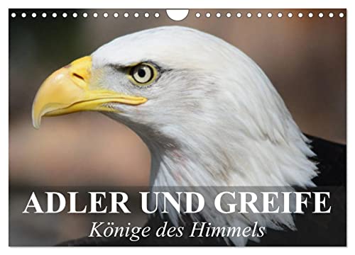 Adler und Greife - Könige des Himmels (Wandkalender 2025 DIN A4 quer), CALVENDO Monatskalender von CALVENDO