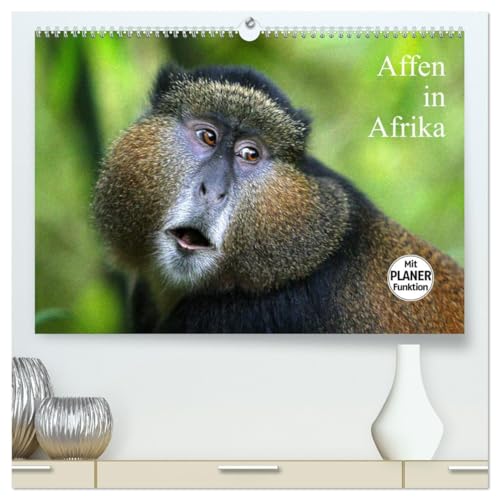 Affen in Afrika (hochwertiger Premium Wandkalender 2026 DIN A2 quer), Kunstdruck in Hochglanz von CALVENDO