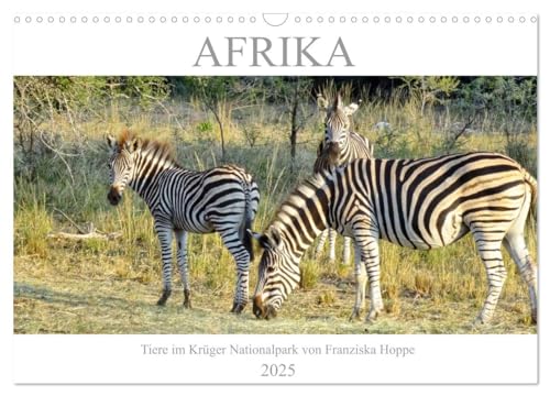 Afrika - Tiere im Krüger Nationalpark (Wandkalender 2025 DIN A3 quer), CALVENDO Monatskalender von CALVENDO