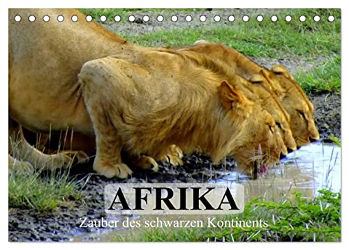 Afrika. Zauber des schwarzen Kontinents (Tischkalender 2025 DIN A5 quer), CALVENDO Monatskalender von CALVENDO