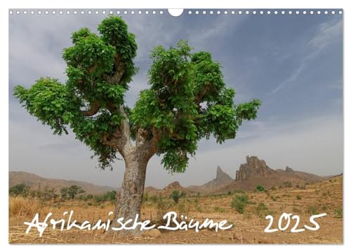 Afrikanische Bäume (Wandkalender 2025 DIN A3 quer), CALVENDO Monatskalender von CALVENDO