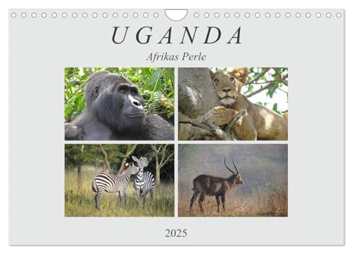 Afrikas Perle Uganda (Wandkalender 2025 DIN A4 quer), CALVENDO Monatskalender von CALVENDO