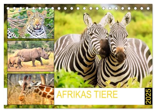 Afrikas Tiere. Majestäten in exotischer Wildnis (Tischkalender 2025 DIN A5 quer), CALVENDO Monatskalender von CALVENDO