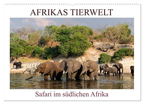 Afrikas Tierwelt, Safari im südlichen Afrika (Wandkalender 2025 DIN A2 quer), CALVENDO Monatskalender von CALVENDO