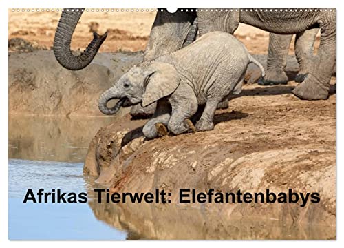 Afrikas Tierwelt: Elefantenbabys (Wandkalender 2025 DIN A2 quer), CALVENDO Monatskalender von CALVENDO