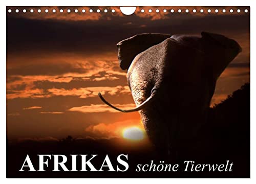 Afrikas schöne Tierwelt (Wandkalender 2025 DIN A4 quer), CALVENDO Monatskalender von CALVENDO