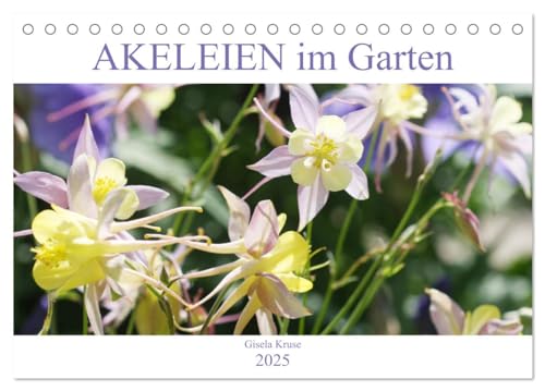 Akeleien im Garten (Tischkalender 2025 DIN A5 quer), CALVENDO Monatskalender von CALVENDO
