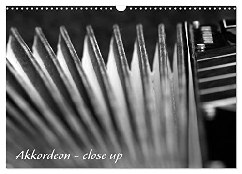 Akkordeon - close up (Wandkalender 2025 DIN A3 quer), CALVENDO Monatskalender von CALVENDO