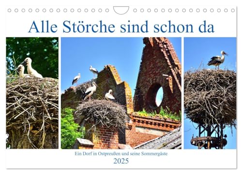 Alle Störche sind schon da - Ein Dorf in Ostpreußen und seine Sommergäste (Wandkalender 2025 DIN A4 quer), CALVENDO Monatskalender von CALVENDO