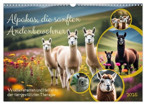Alpakas, die sanften Andenbewohner (Wandkalender 2025 DIN A3 quer), CALVENDO Monatskalender von CALVENDO