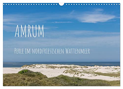 Amrum - Perle im nordfriesischen Wattenmeer (Wandkalender 2025 DIN A3 quer), CALVENDO Monatskalender von CALVENDO