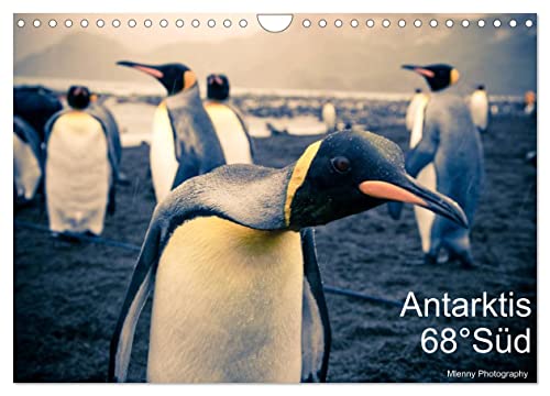Antarktis 68° Süd (Wandkalender 2025 DIN A4 quer), CALVENDO Monatskalender von CALVENDO
