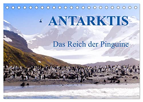 Antarktis - Das Reich der Pinguine (Tischkalender 2025 DIN A5 quer), CALVENDO Monatskalender von CALVENDO