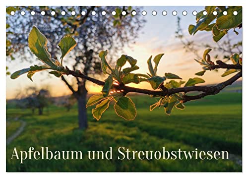 Apfelbaum und Streuobstwiesen (Tischkalender 2025 DIN A5 quer), CALVENDO Monatskalender von CALVENDO