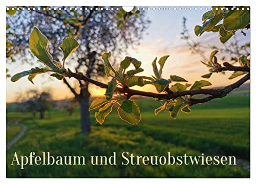 Apfelbaum und Streuobstwiesen (Wandkalender 2025 DIN A3 quer), CALVENDO Monatskalender von CALVENDO