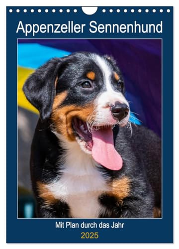 Appenzeller Sennenhund - Mit Plan durch das Jahr (Wandkalender 2025 DIN A4 hoch), CALVENDO Monatskalender