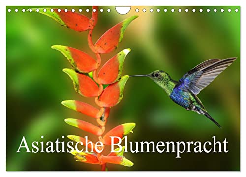 Asiatische Blumenpracht (Wandkalender 2025 DIN A4 quer), CALVENDO Monatskalender von CALVENDO