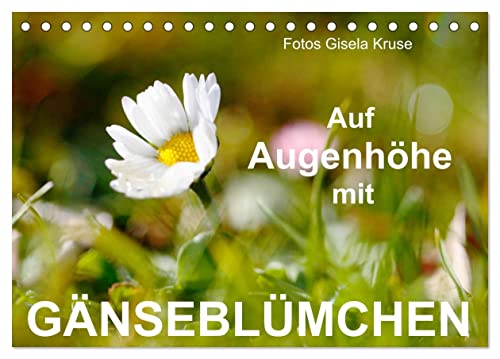 Auf Augenhöhe mit Gänseblümchen (Tischkalender 2025 DIN A5 quer), CALVENDO Monatskalender von CALVENDO