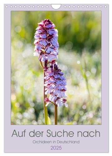 Auf der Suche nach Orchideen in Deutschland (Wandkalender 2025 DIN A4 hoch), CALVENDO Monatskalender von CALVENDO