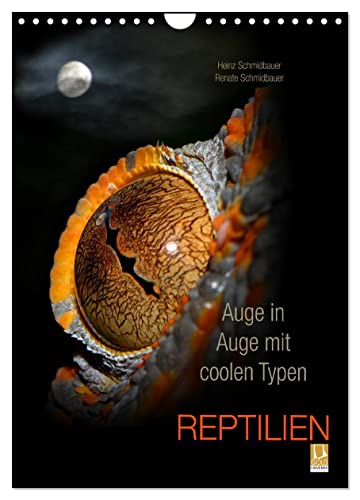 Auge in Auge mit coolen Typen - REPTILIEN (Wandkalender 2025 DIN A4 hoch), CALVENDO Monatskalender