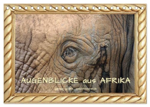 Augenblicke aus Afrika (Tischkalender 2026 DIN A5 quer), CALVENDO Monatskalender: Detailstarke und einzigartige Aufnahmen verschiedener Wildtiere aus ... Fotografien durch das Jahr. (CALVENDO Orte) von Calvendo