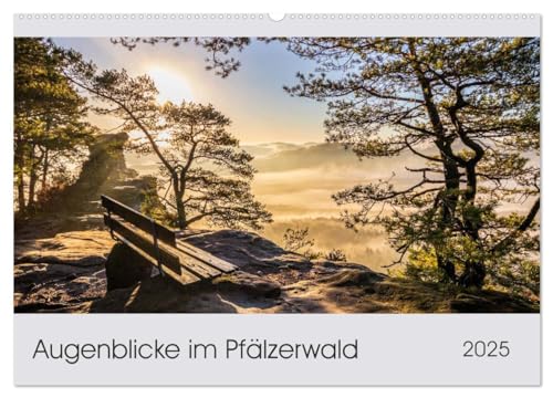 Augenblicke im Pfälzerwald (Wandkalender 2025 DIN A2 quer), CALVENDO Monatskalender von CALVENDO