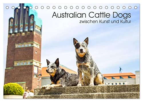 Australian Cattle Dogs zwischen Kunst und Kultur (Tischkalender 2025 DIN A5 quer), CALVENDO Monatskalender von CALVENDO