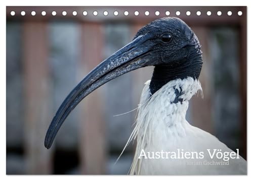 Australiens Vögel (Tischkalender 2025 DIN A5 quer), CALVENDO Monatskalender von CALVENDO
