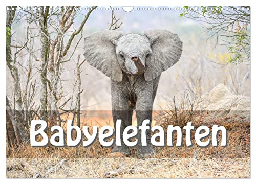 Babyelefanten (Wandkalender 2025 DIN A3 quer), CALVENDO Monatskalender von CALVENDO
