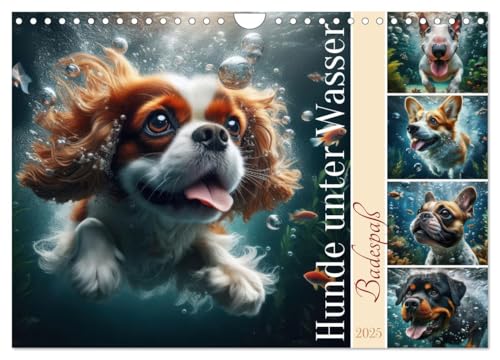 Badespaß - Hunde unter Wasser (Wandkalender 2025 DIN A4 quer), CALVENDO Monatskalender