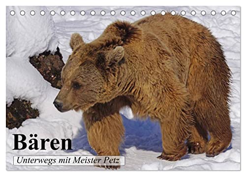 Bären. Unterwegs mit Meister Petz (Tischkalender 2026 DIN A5 quer), CALVENDO Monatskalender von CALVENDO
