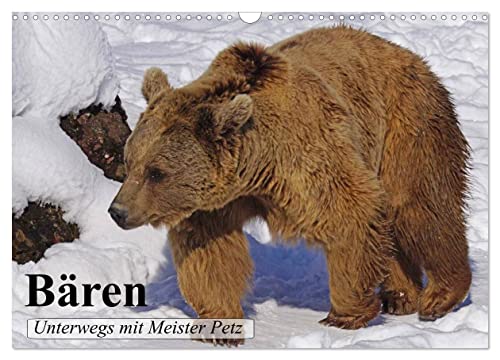 Bären. Unterwegs mit Meister Petz (Wandkalender 2025 DIN A3 quer), CALVENDO Monatskalender von CALVENDO