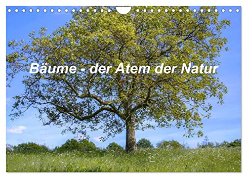 Bäume, der Atem der Natur (Wandkalender 2025 DIN A4 quer), CALVENDO Monatskalender: Bunte Baumvielfalt (CALVENDO Natur) von Calvendo