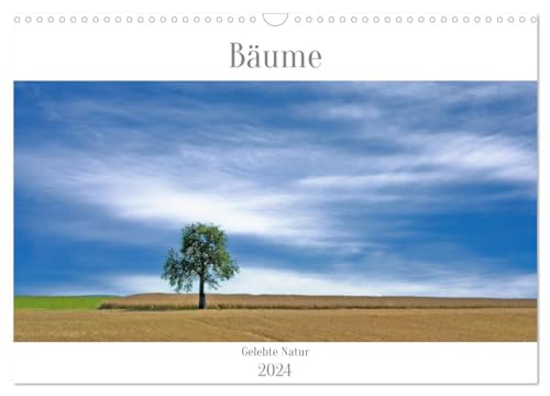 Bäume - Gelebtes Leben (Wandkalender 2024 DIN A3 quer), CALVENDO Monatskalender von CALVENDO