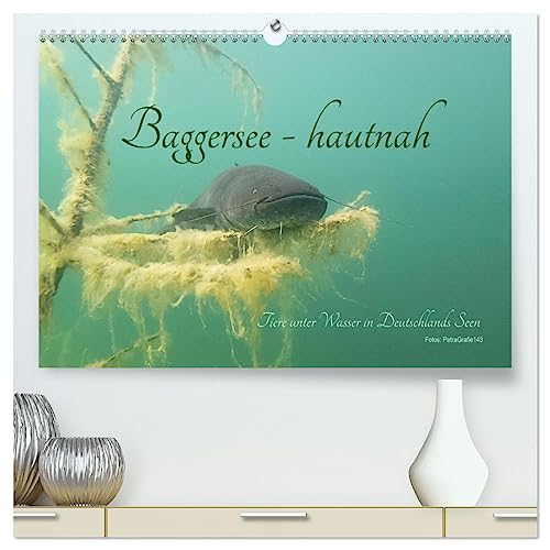 Baggersee -hautah (hochwertiger Premium Wandkalender 2025 DIN A2 quer), Kunstdruck in Hochglanz: Tiere unter Wasser in deutschen Seen (CALVENDO Tiere) von Calvendo