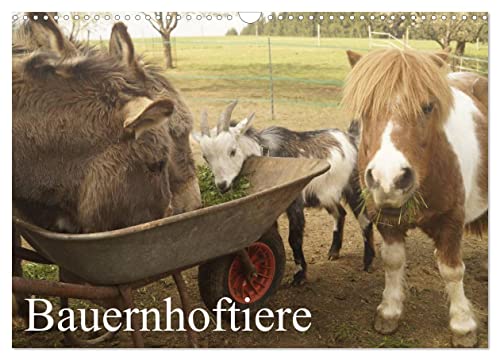 Bauernhoftiere (Wandkalender 2025 DIN A3 quer), CALVENDO Monatskalender von CALVENDO