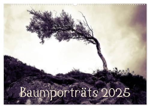Baumporträts 2025 (Wandkalender 2025 DIN A2 quer), CALVENDO Monatskalender von CALVENDO